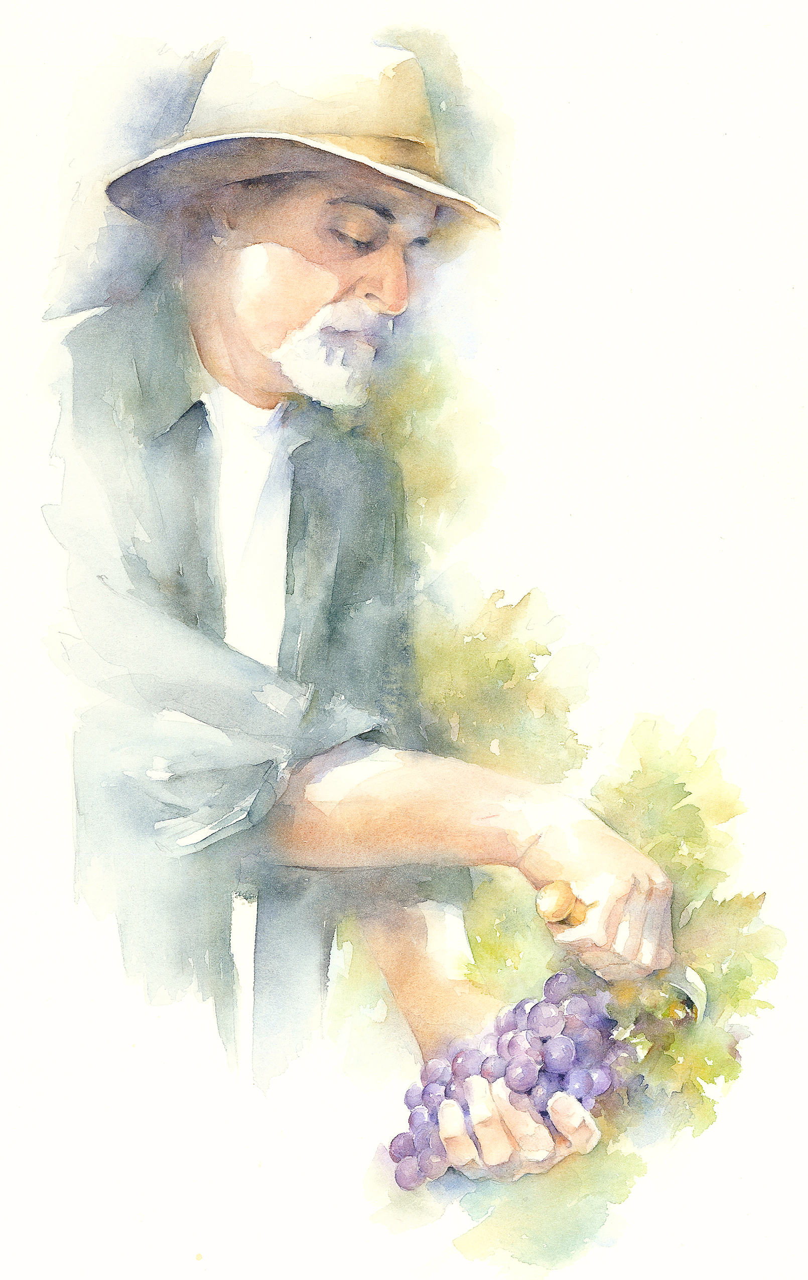 Grape harvest