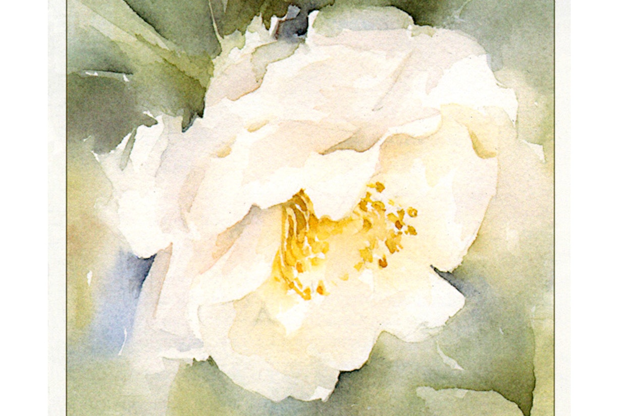 Watercolor White Gouache Original Modern Painting Stock Illustration  507832354