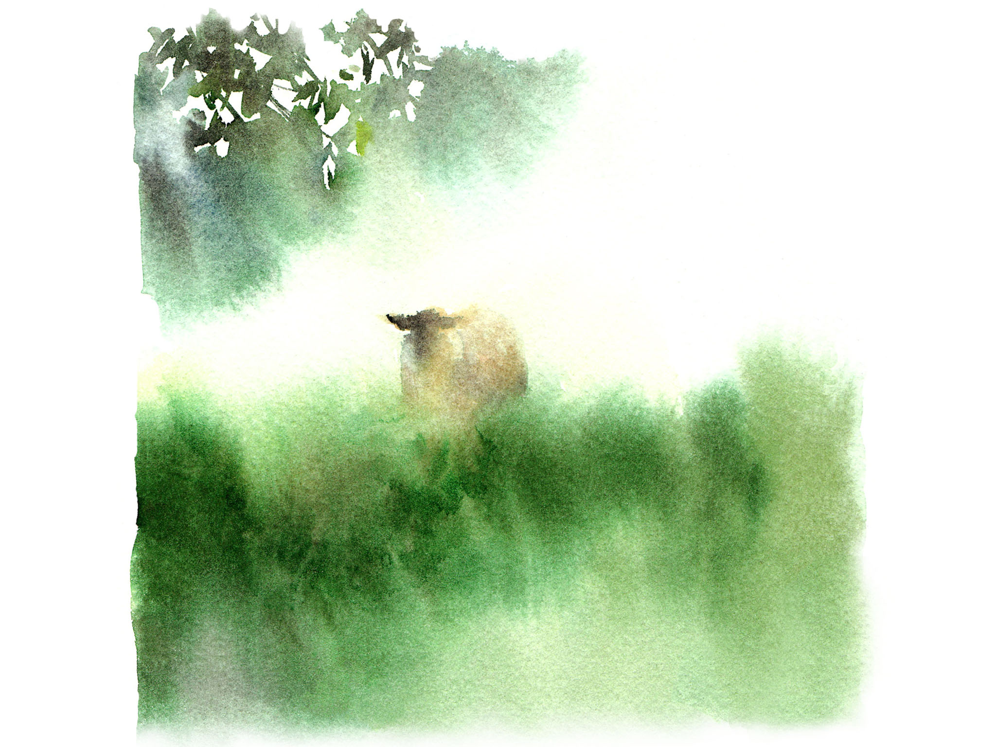 Greeting Card