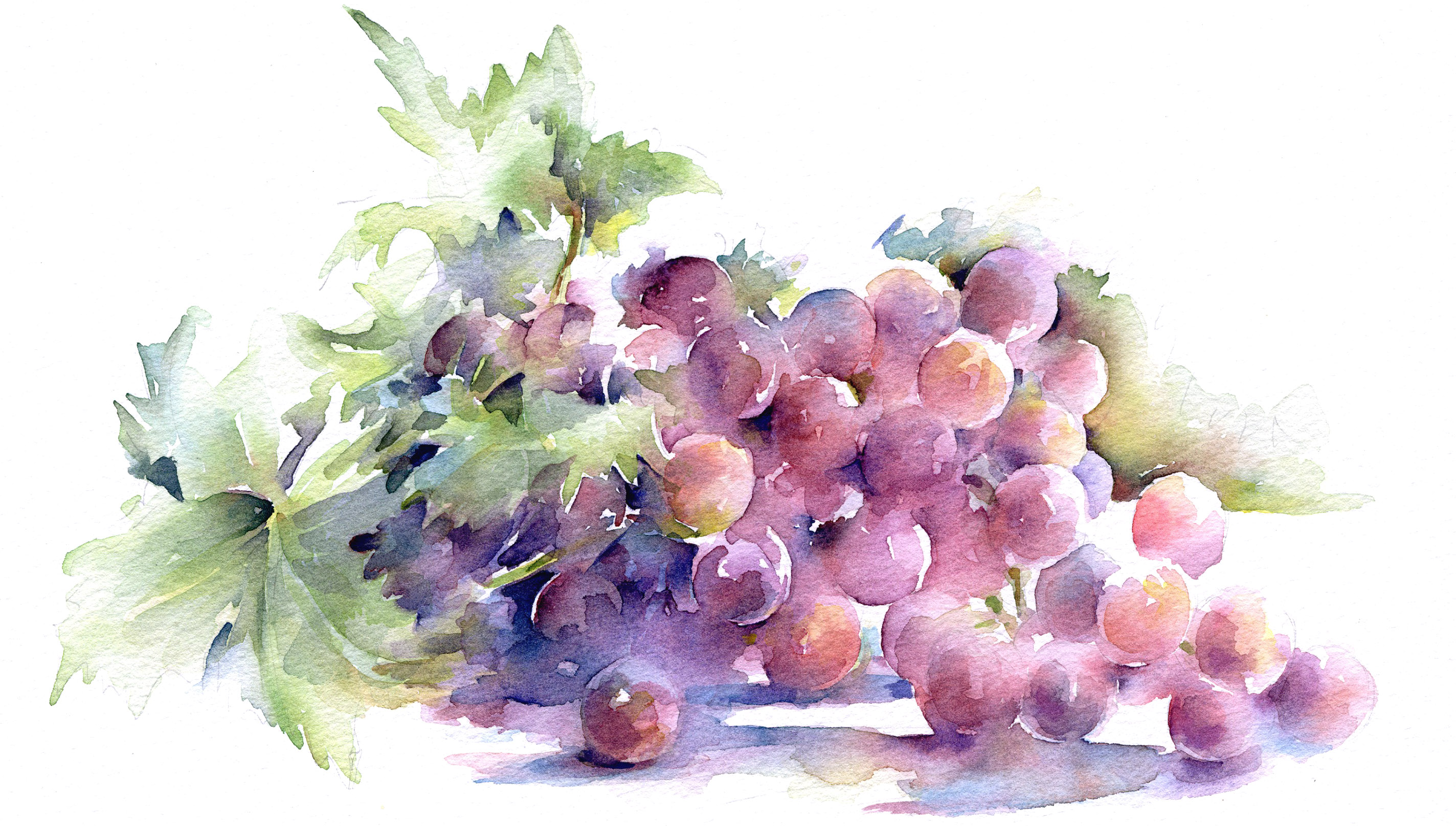 Conde Nast
Bon Appetit magazine
article on fruit sweeteners