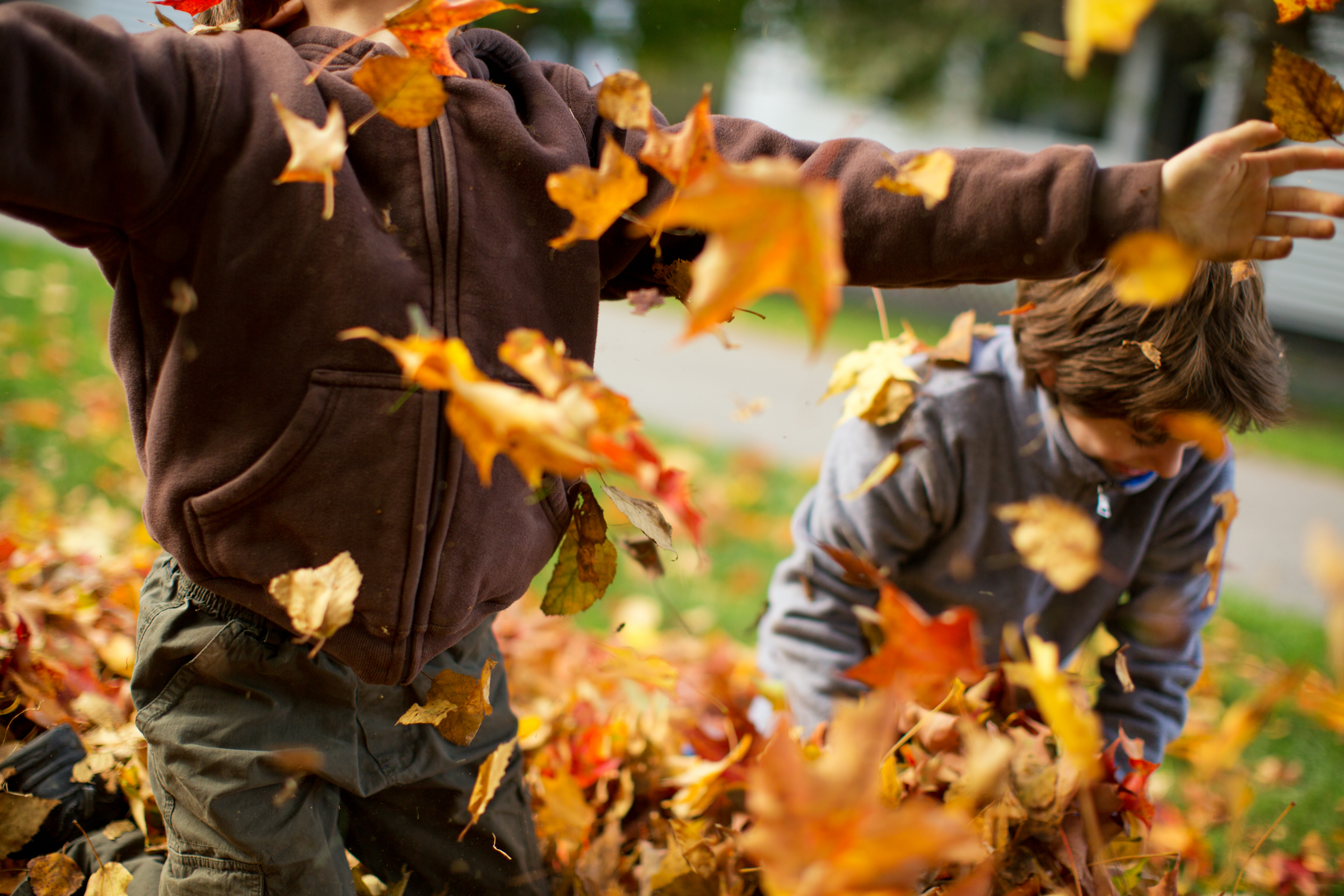Kids playing in dry leaves on autumn day