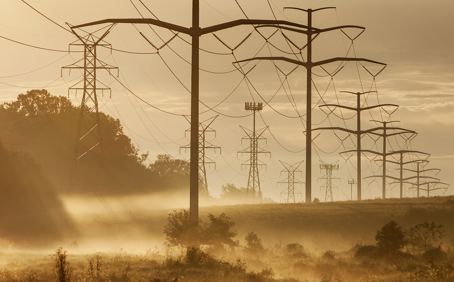 Powerlines at sunrise