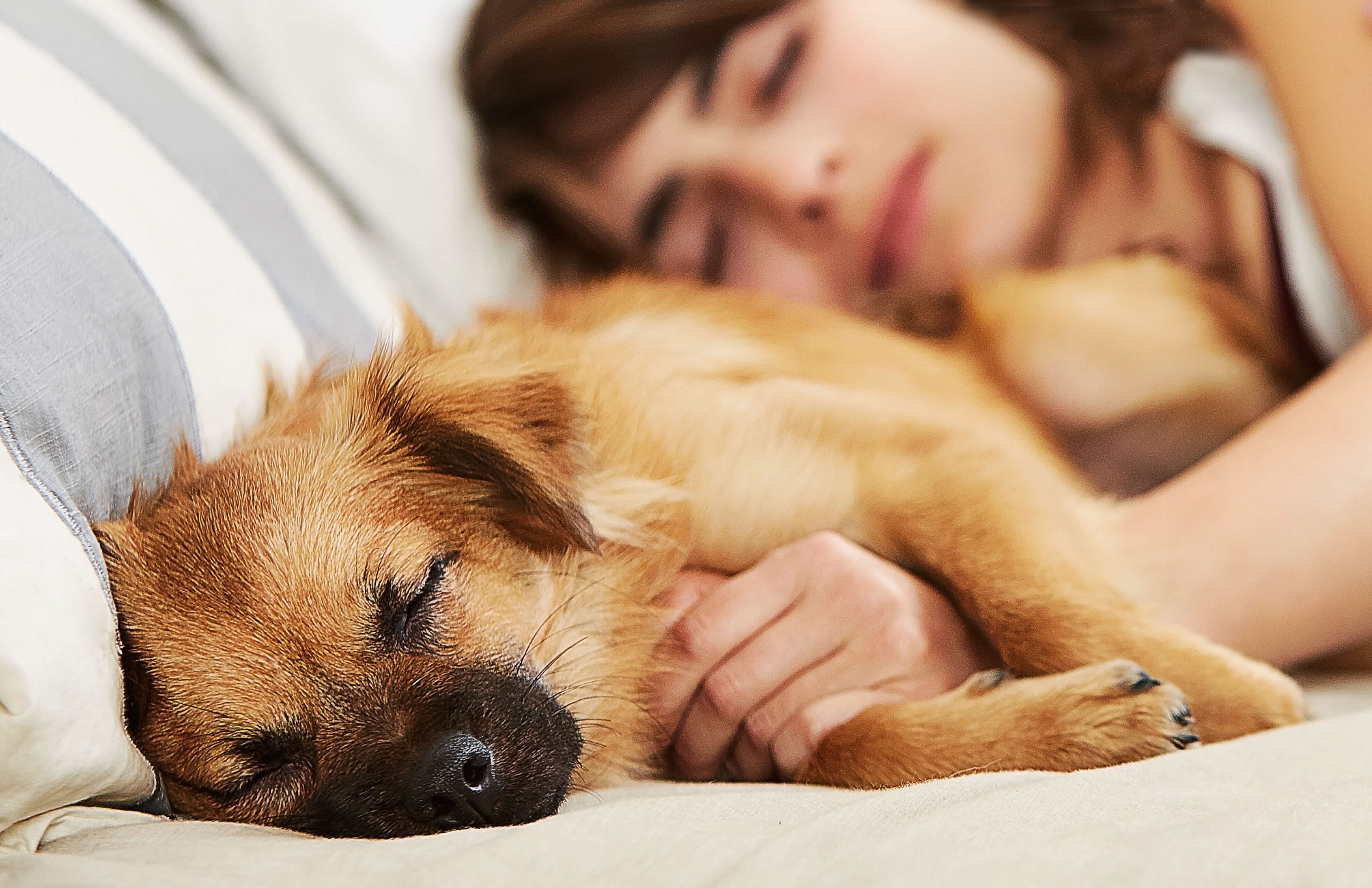 Woman sleeping with dog.