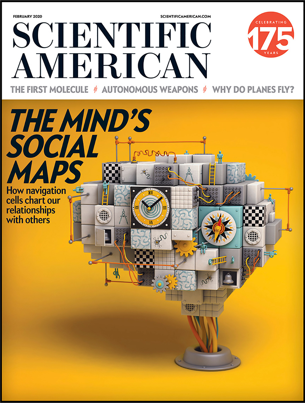 3D modeled brain for Scientific American magazine cover.