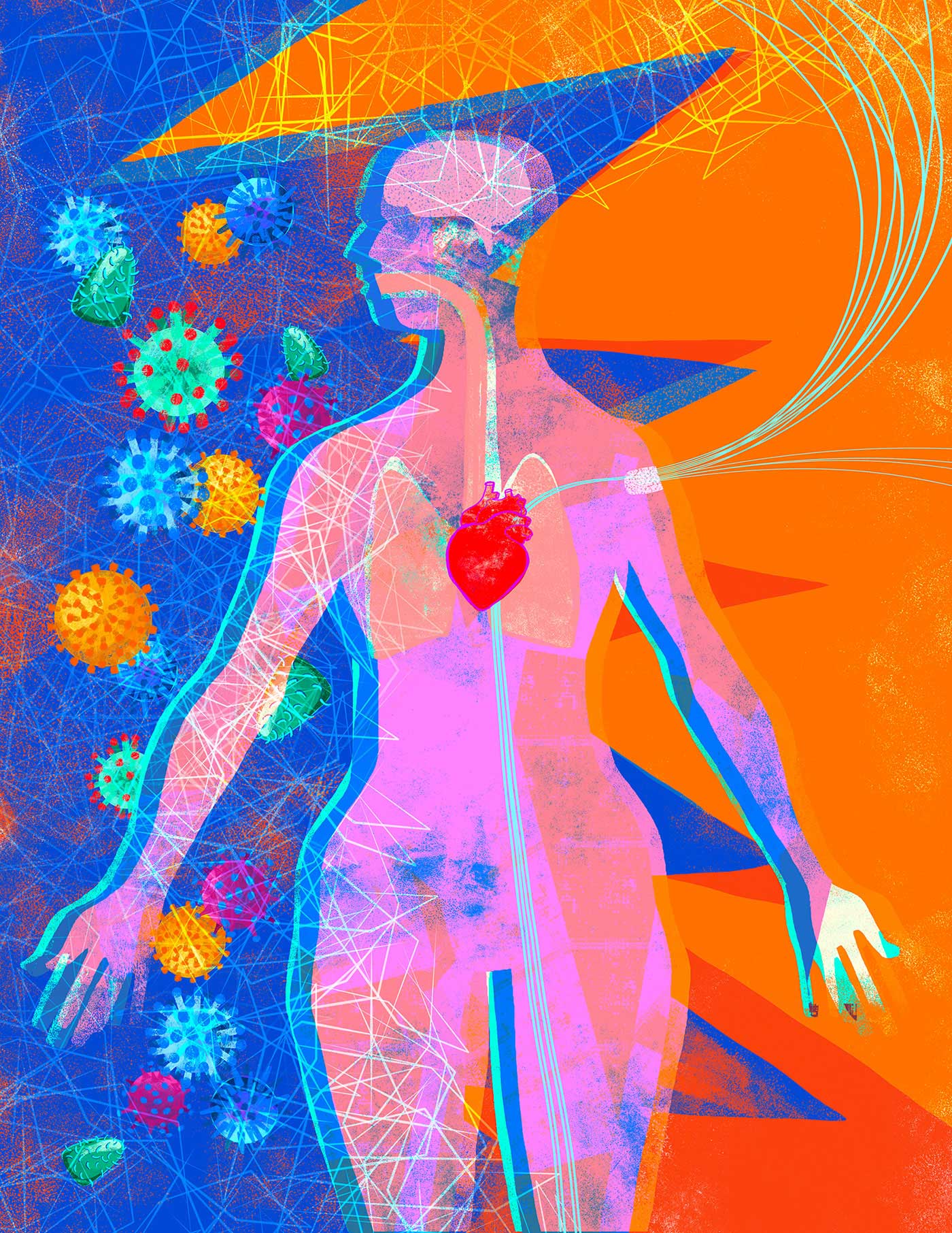 Anatomy