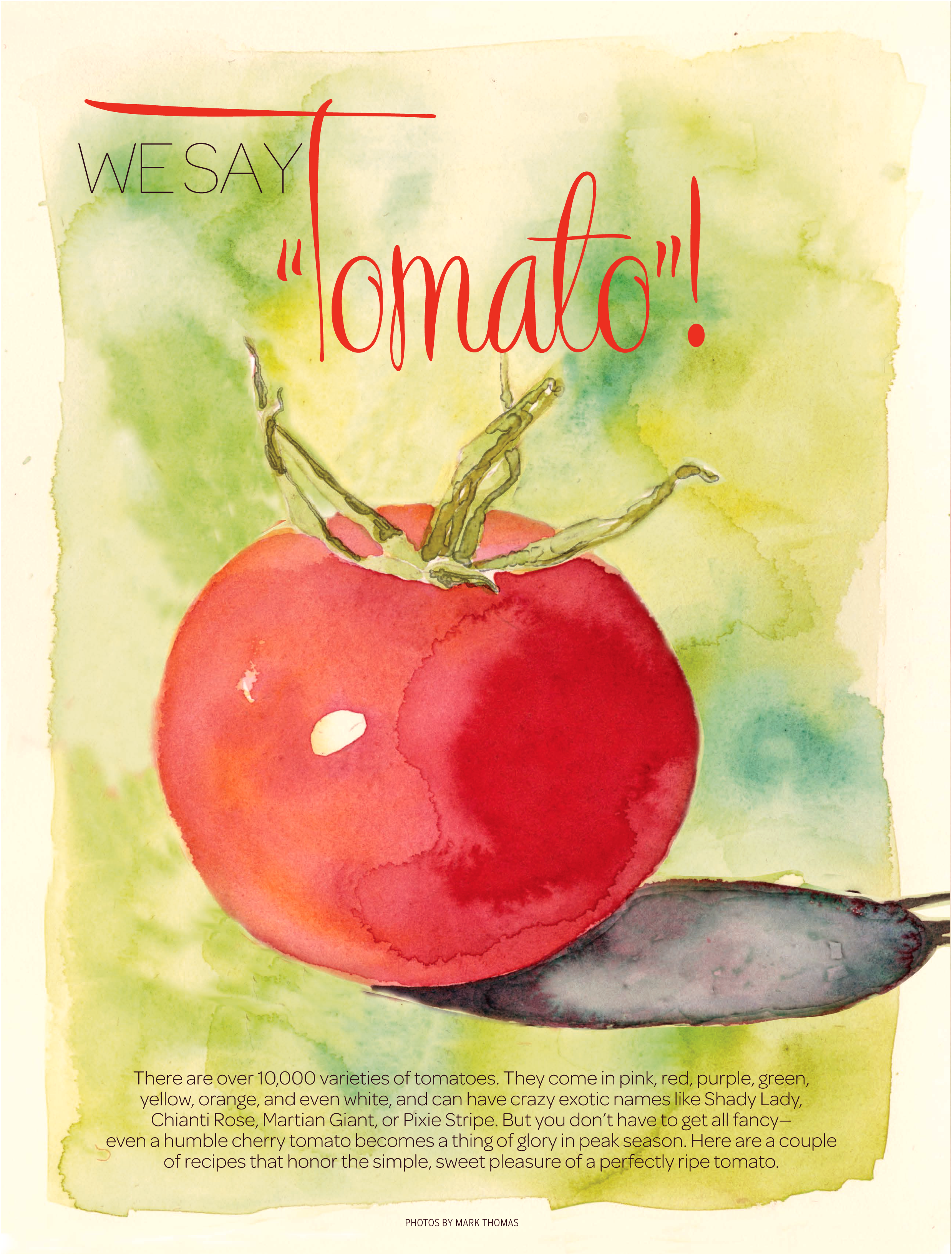 Series of tomato illustrations for Meredith Publishing - All Recipes Magazine

copyright - denise hilton campbell 2015