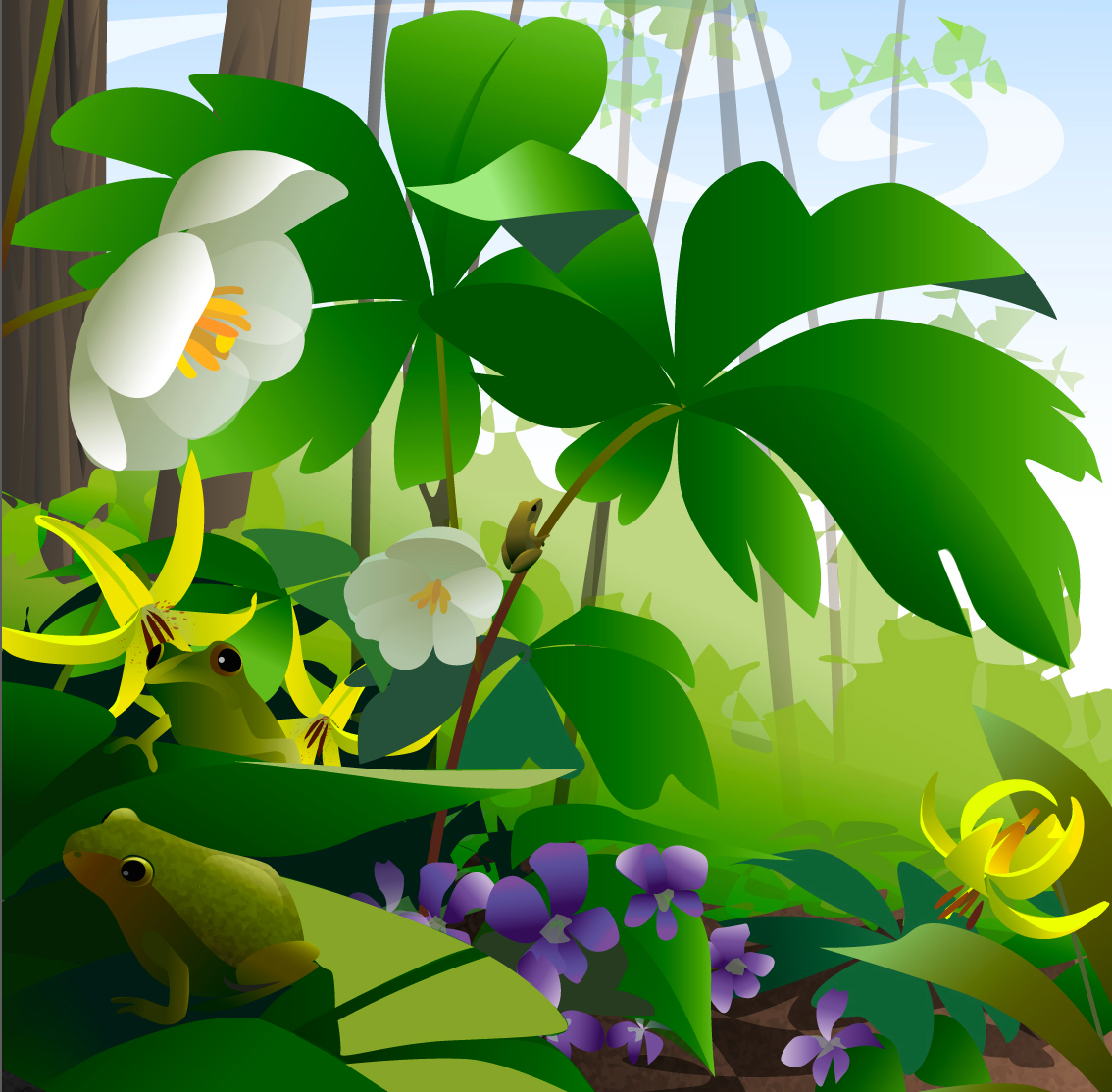 Tiny Spring frogs