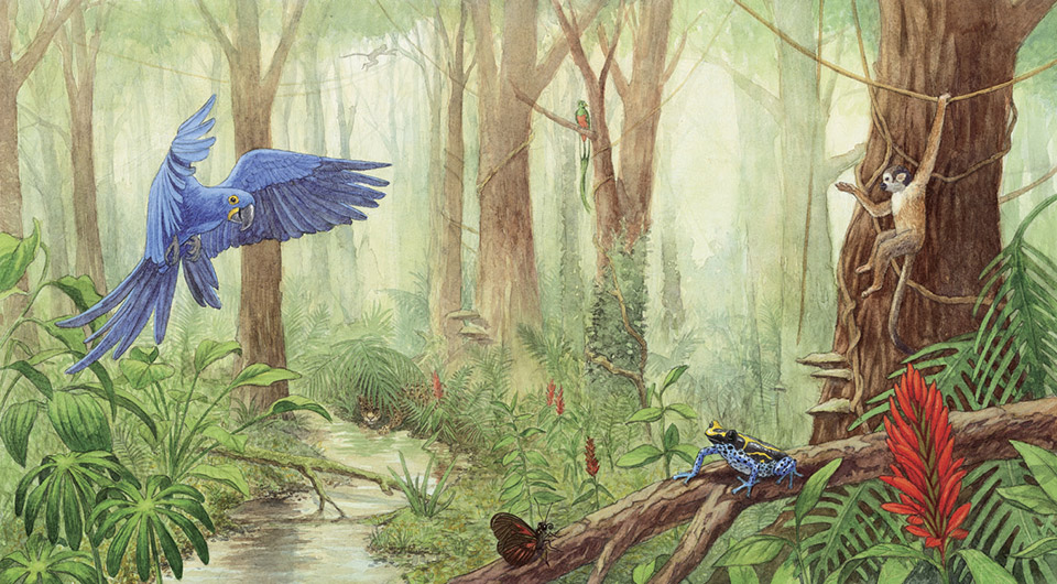 Image 488981