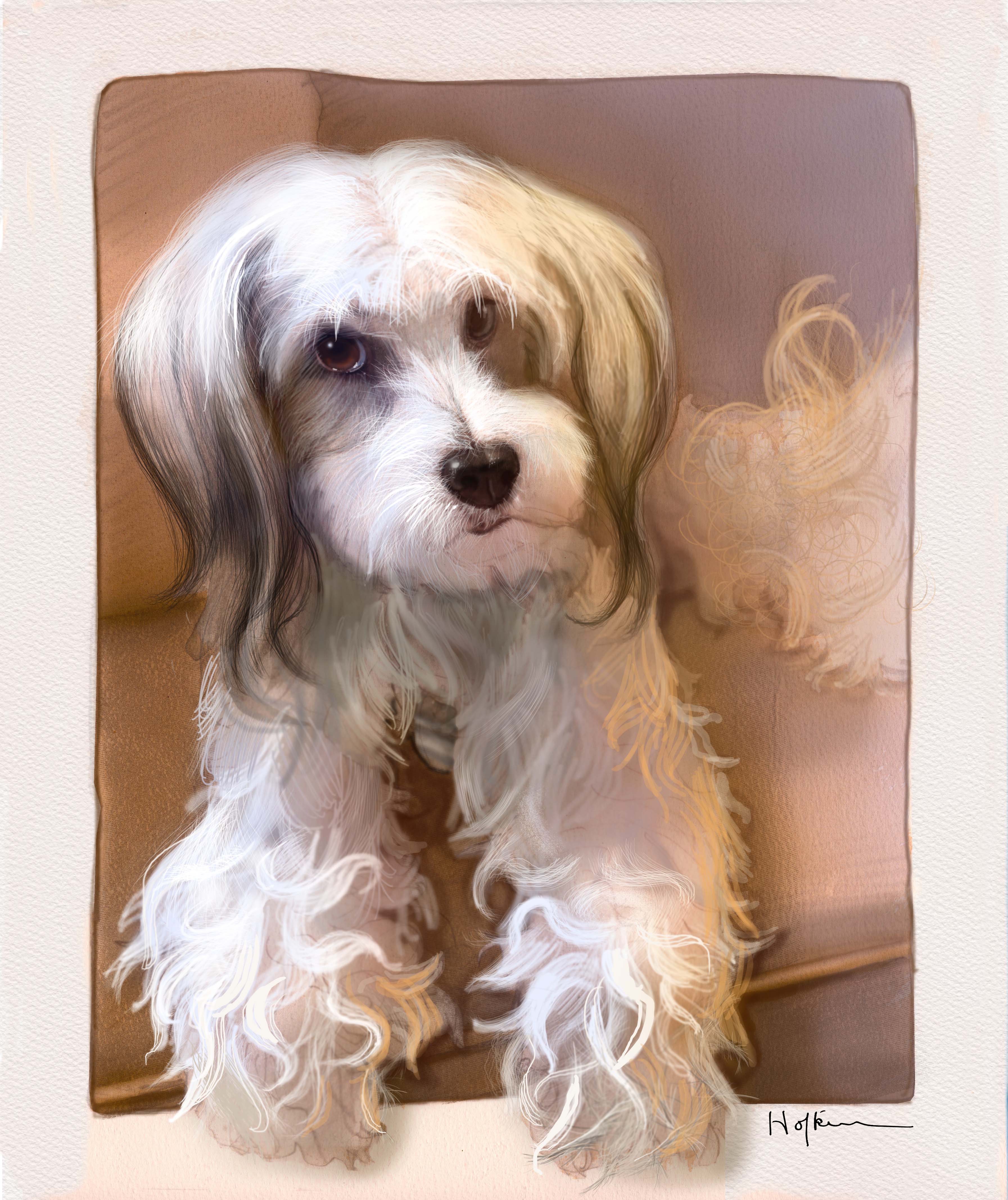 ©Bonnie Hofkin. From a series of canine portraits in the artist's private commission portfolio, using traditional and digital media. Riley, client's beloved deceased Tibetan Terrier.