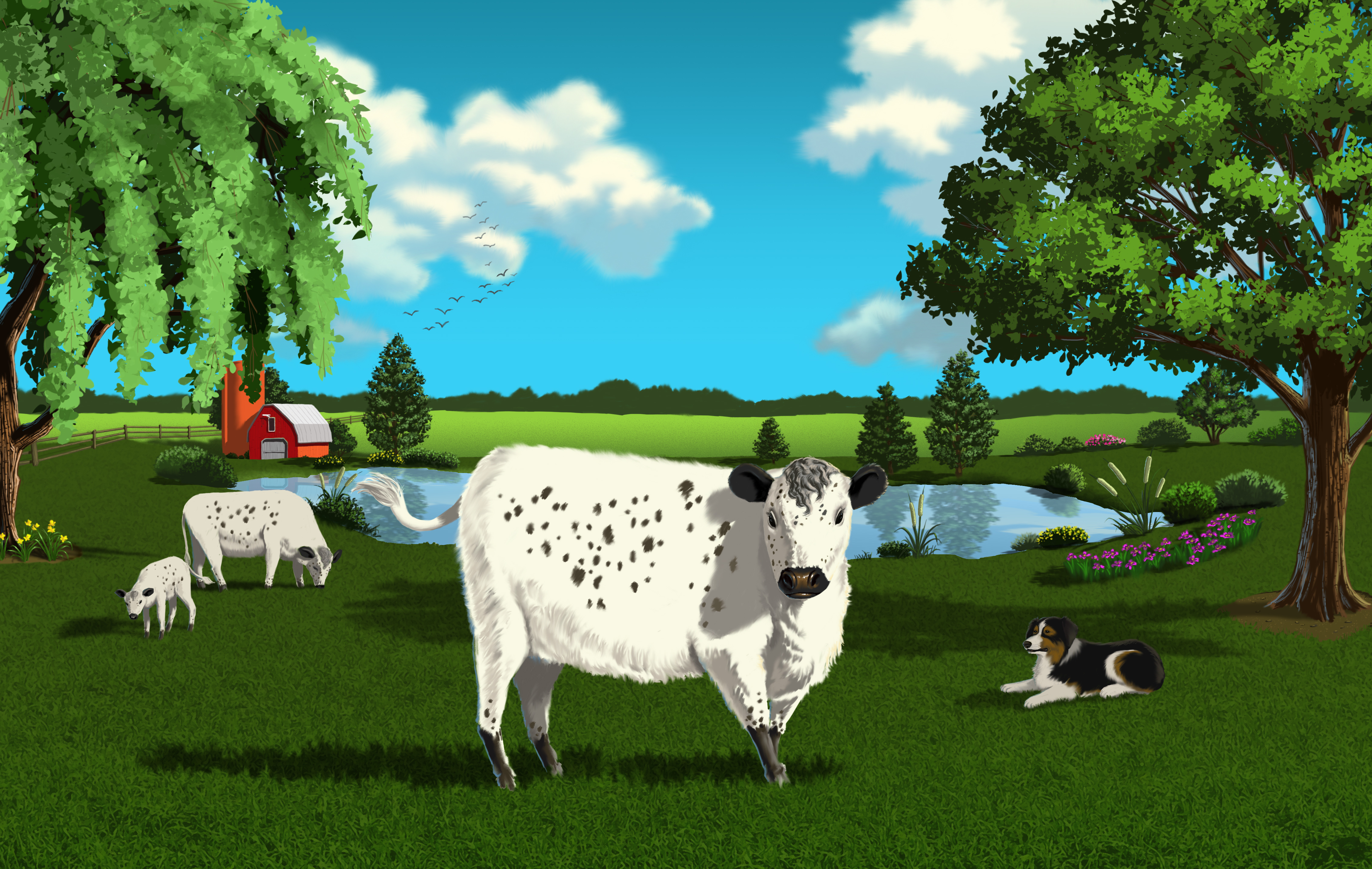©Tony De Luz. Digital layered art for Weil Family Farm's organic beef marketing, packaging, and identity materials, James Rollins Design, client.