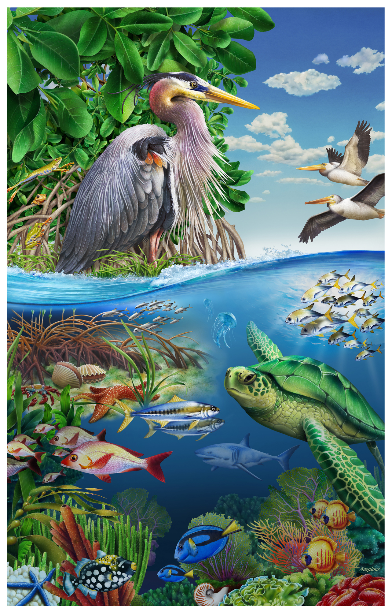 Undersea fish, coral reef, sea turtle, tide pool - illustration for Earth Day 2015
