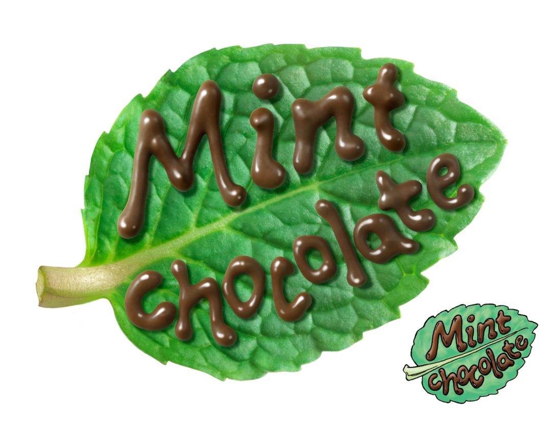 Mint Chocolate sign for stores, with chocolate lettering, mint leaf