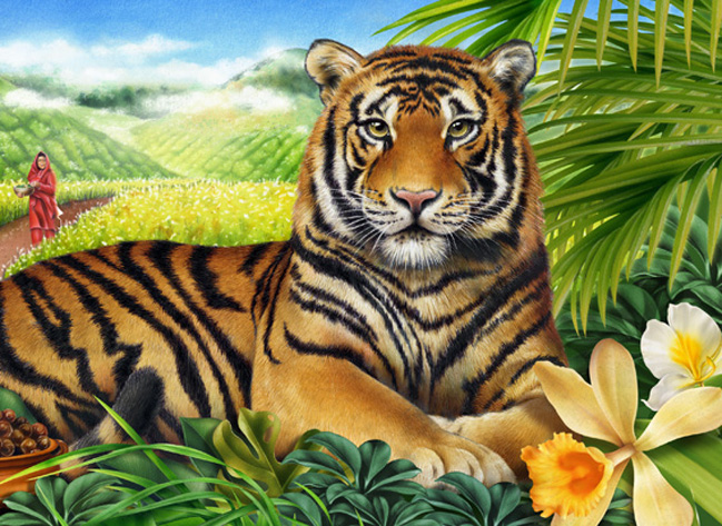 Bengal Spice flavor tea packaging: tiger with Indian tea fields, vanilla flowers, jungle leaves, woman in distance collecting tea, spices in foreground