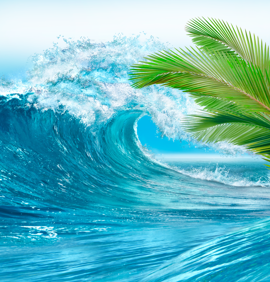 Colgate Wave Packaging image