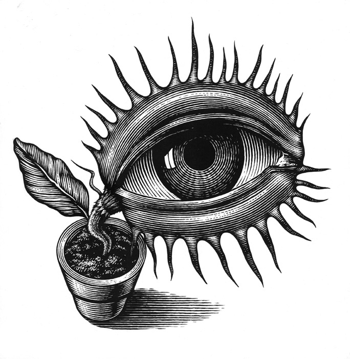 ©Ken Perkins. Scratchboard in engraving style of mythical "eyetrap" flower in clay pot. Self-promotional.