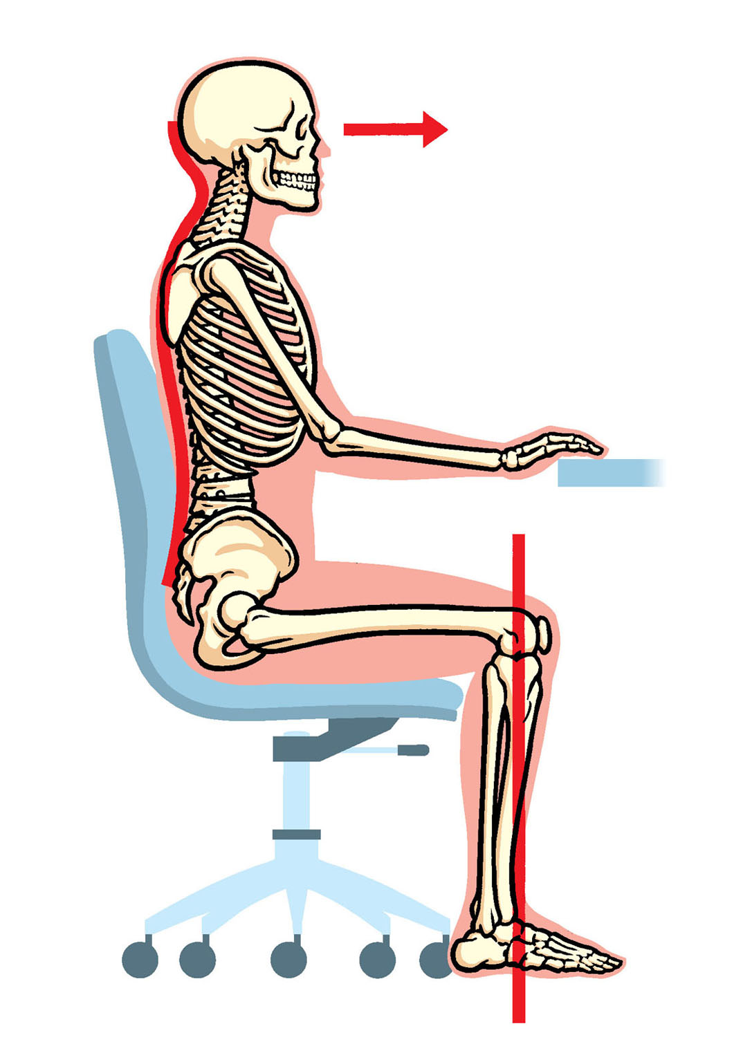 Illustration showing ideal seated posture for office tasks. 

Client: Outside Magazine