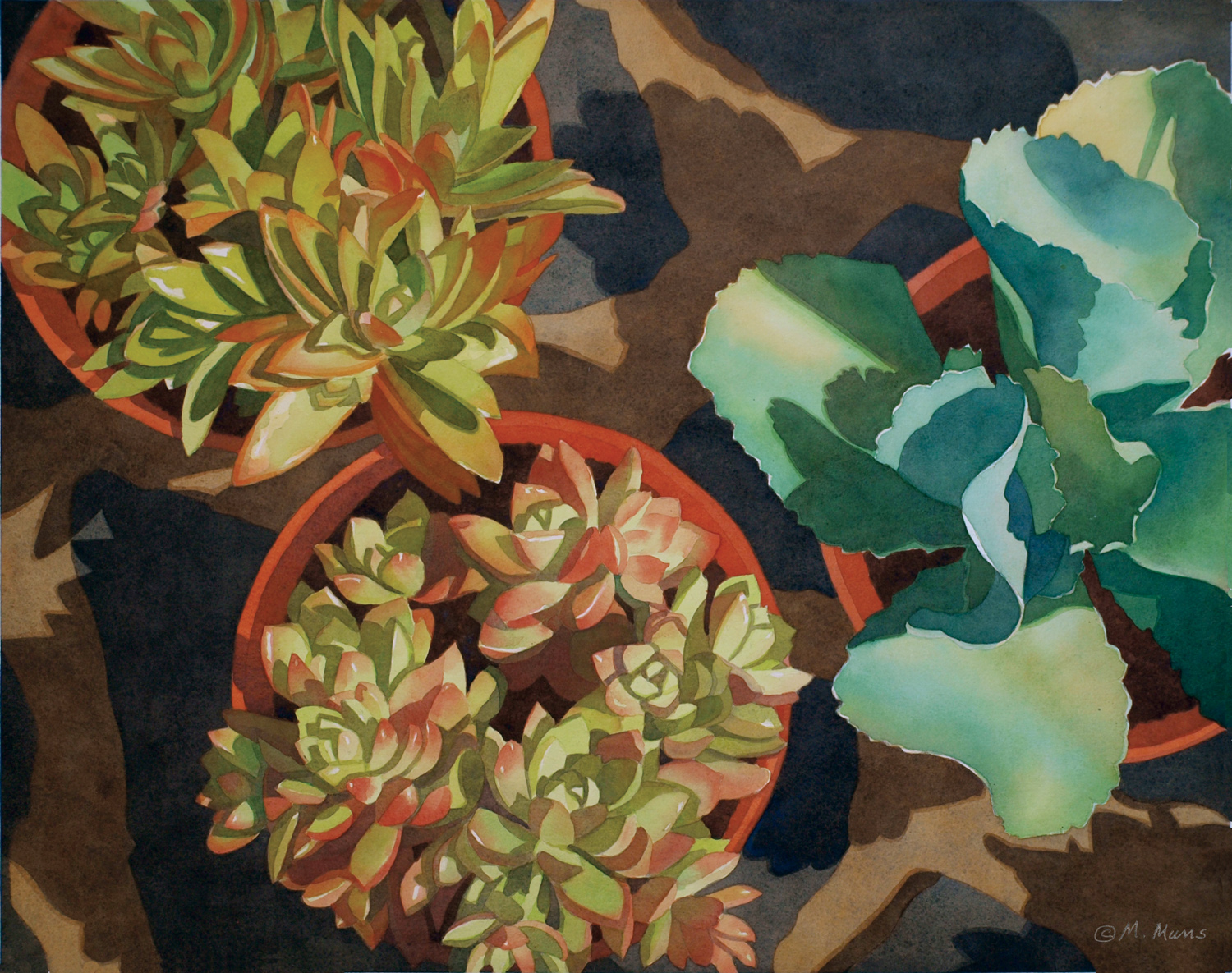 ©Marjorie Muns.  In the artist's classic watercolor technique using keen light awareness, these drought-tolerant plants.