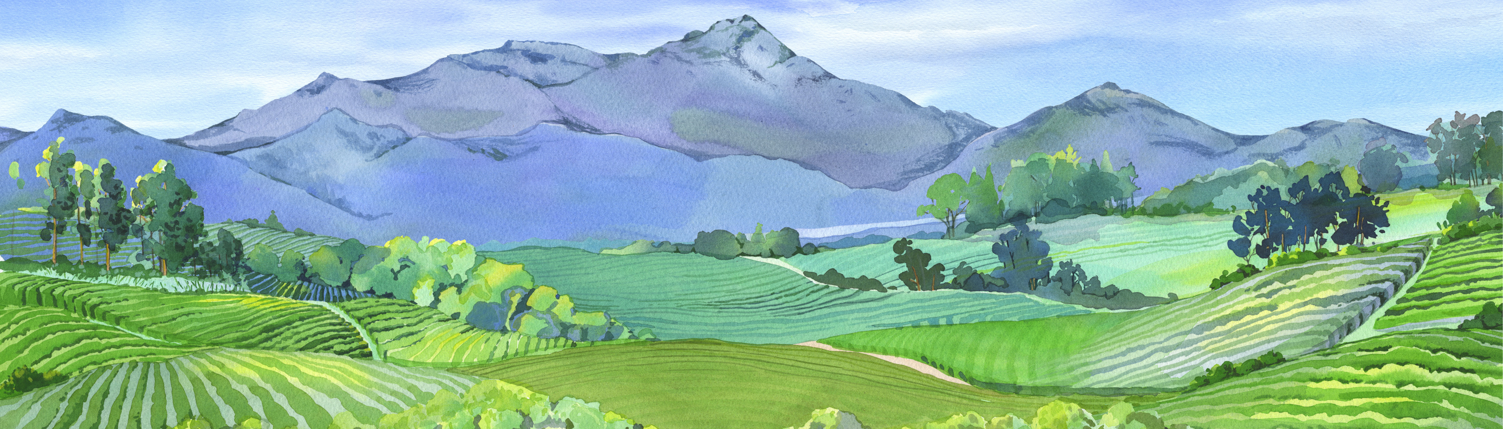 Image 766646