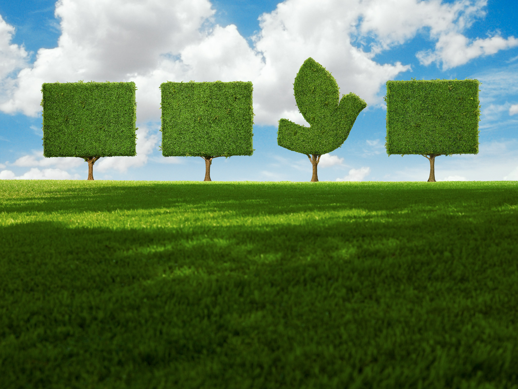 Image of four topiary trees, three square shaped, one shaped like a bird. for UnitedHealthcare. © Dana Hursey Photography