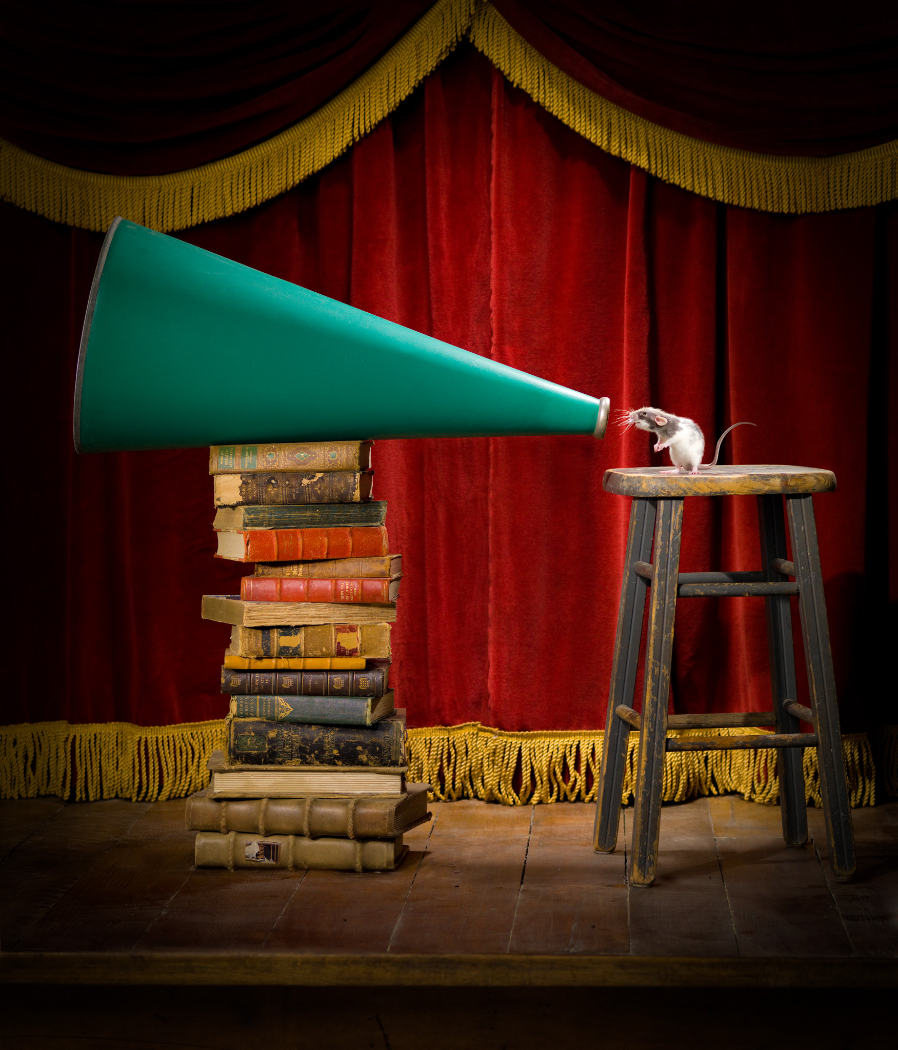 Conceptual Photograph of a mouse standing on a stool on a classic stage, speaking into a megaphone that sits on a stack of books next to the stool. Featured Winning image in Communication Arts Photography Annual. © 2010 Dana Hursey Photography