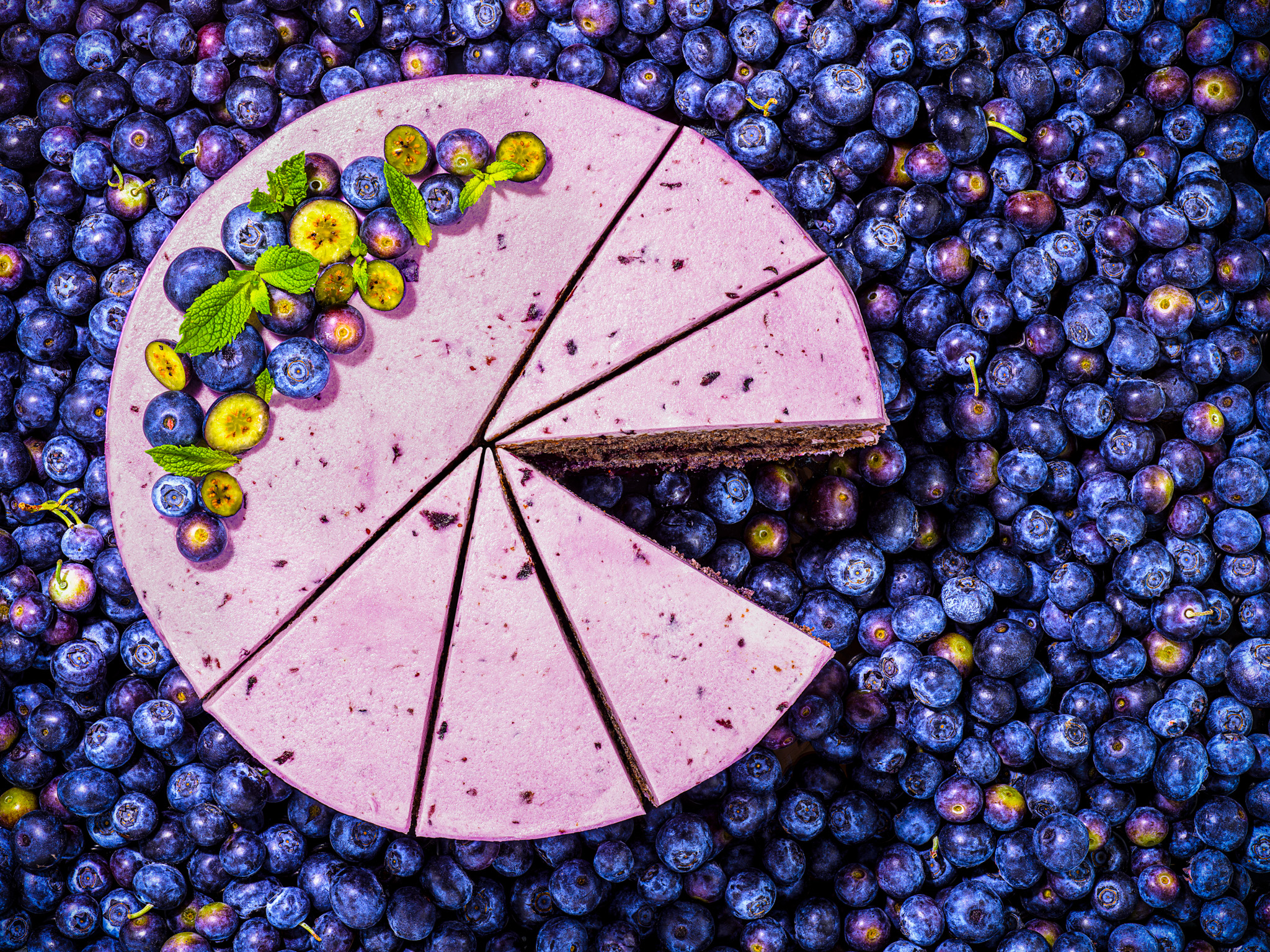 Blueberry cake on a field of blueberries