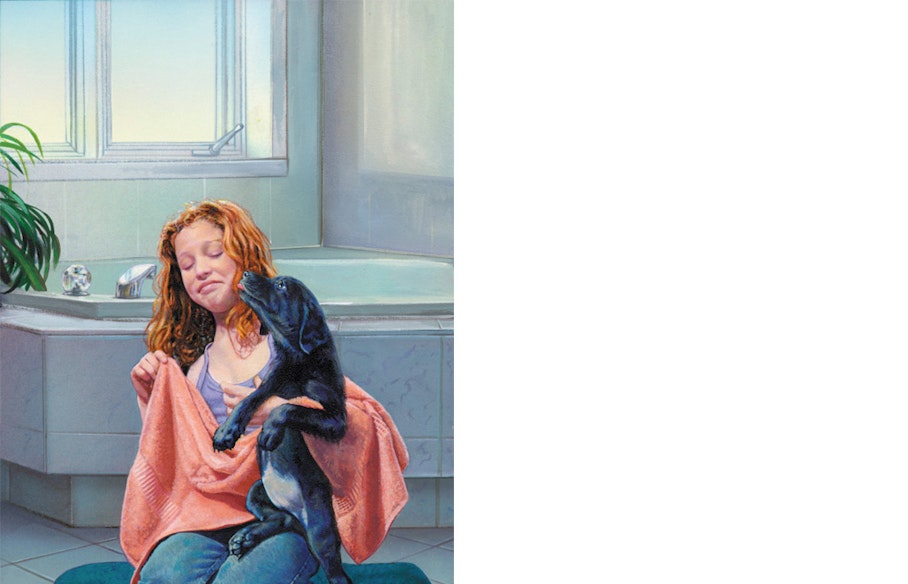 Sharif Tarabay Illustration Inc. | Illustrators and Letterers Portfolio | www.workbook.com