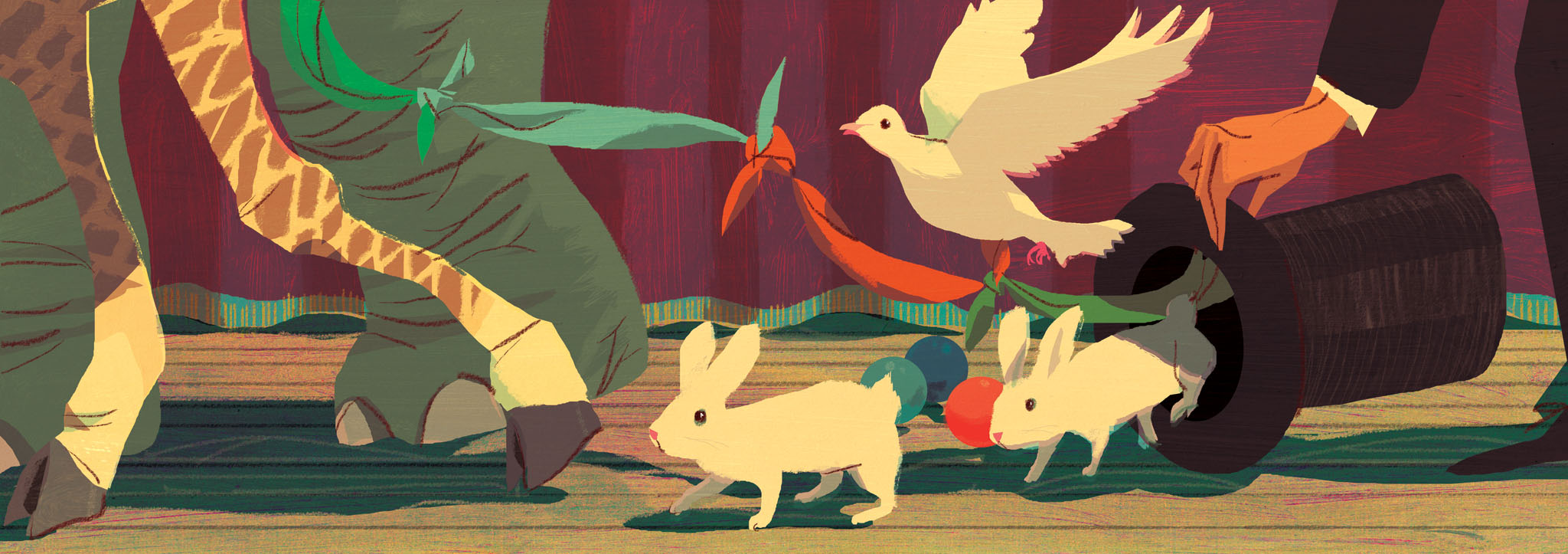Editorial illustration for Plansponsor Magazine. Magic, magician, hat, animals.  