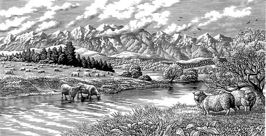 bill sanderson, scratchboard, landscape, mountain, clouds, sheep, animals, river, rural, countryside, 