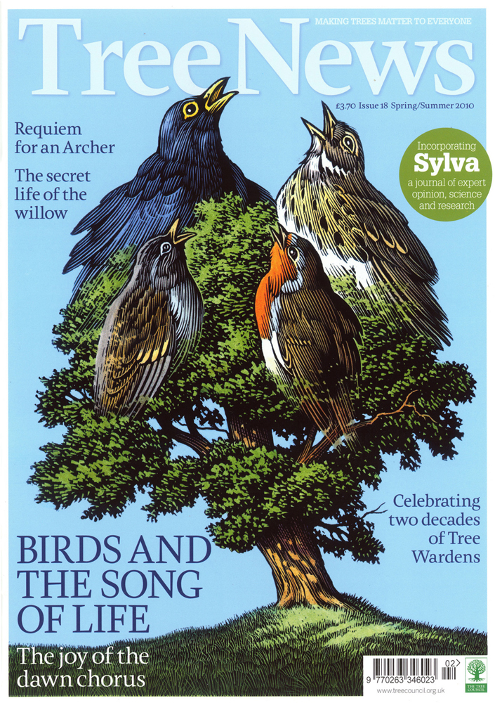 bill sanderson, scratchboard, birds, animals, tree, tree news, cover, environmental, green, 