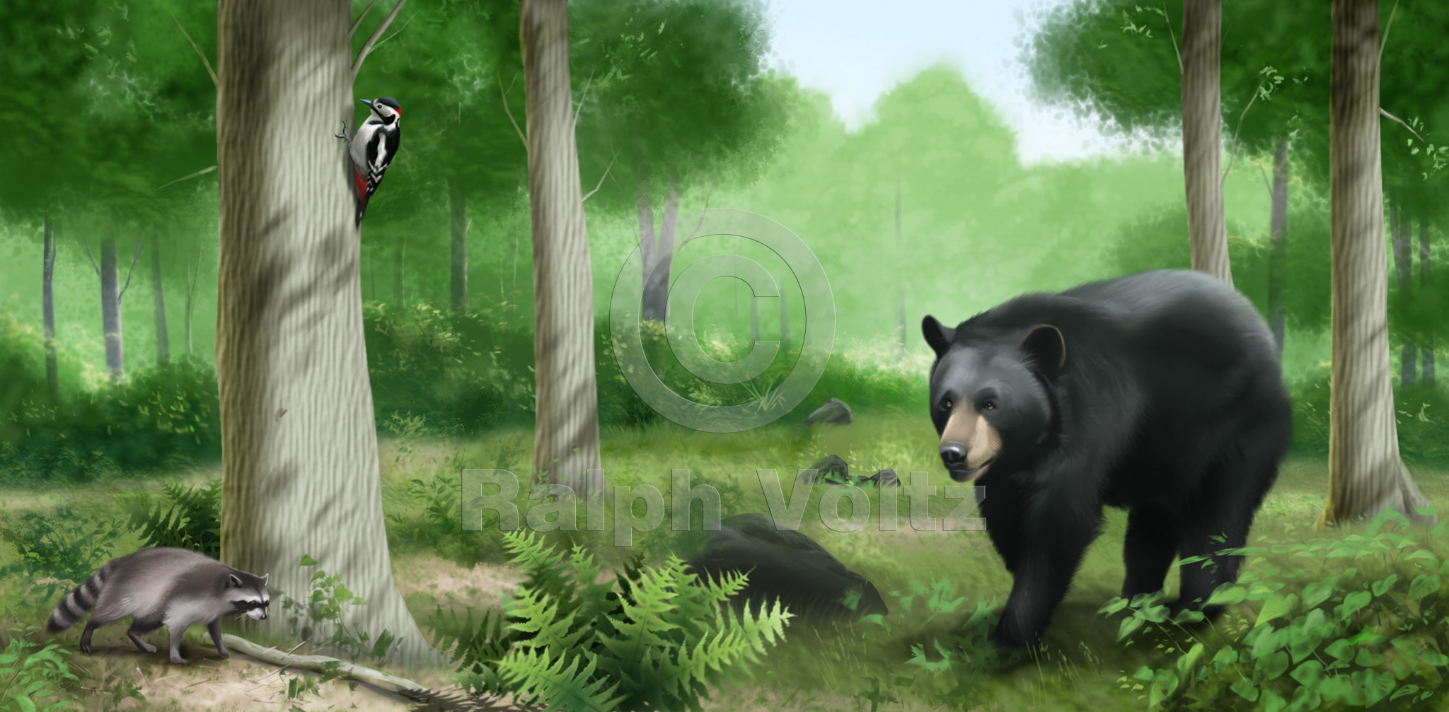 Forest Bear