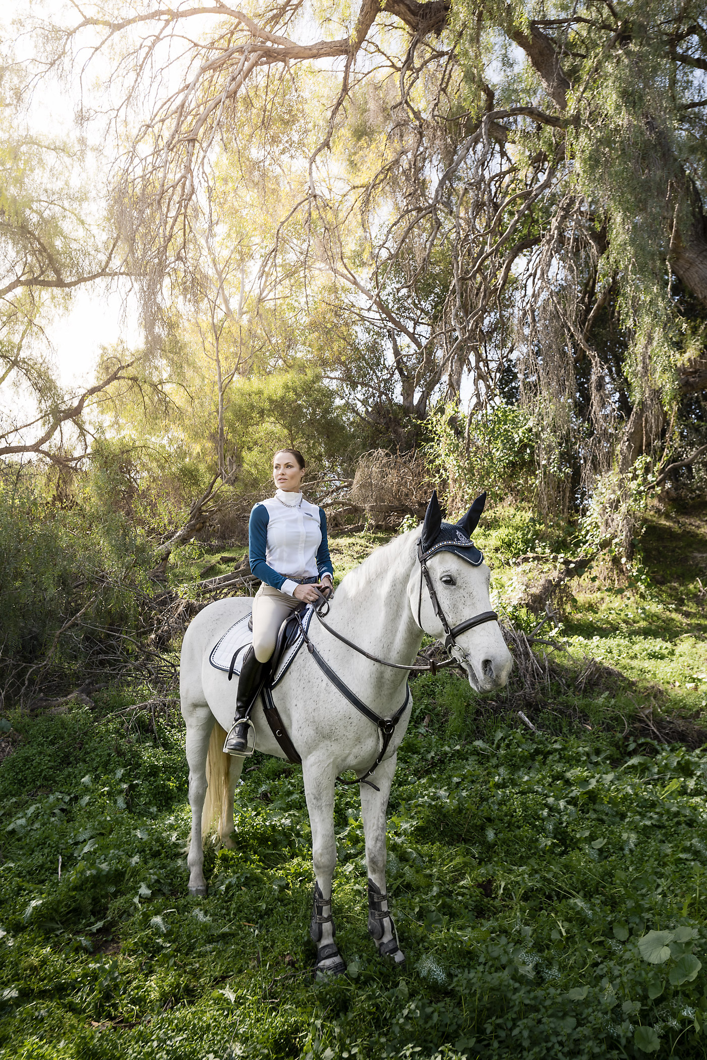 Equestrian lifestyle 