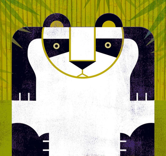 Image 337848