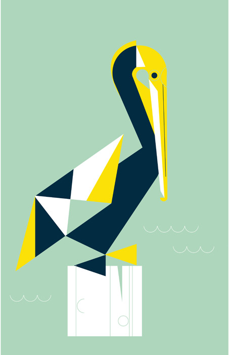 Pelican