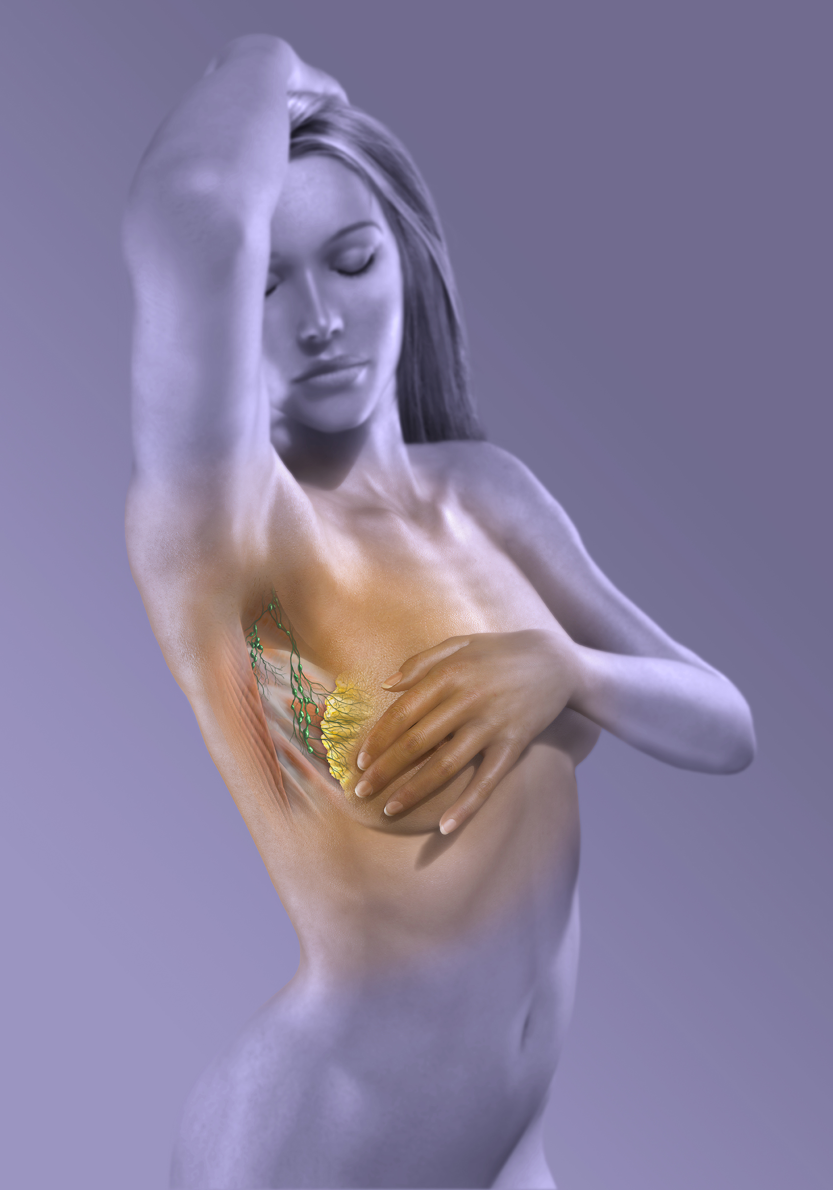 This image revisits one of 4 illustrations created to highlight the connections between breast cancer and the axillary lymph nodes. CLIENT - VIV Mag, A Smart Digital Magazine for Women