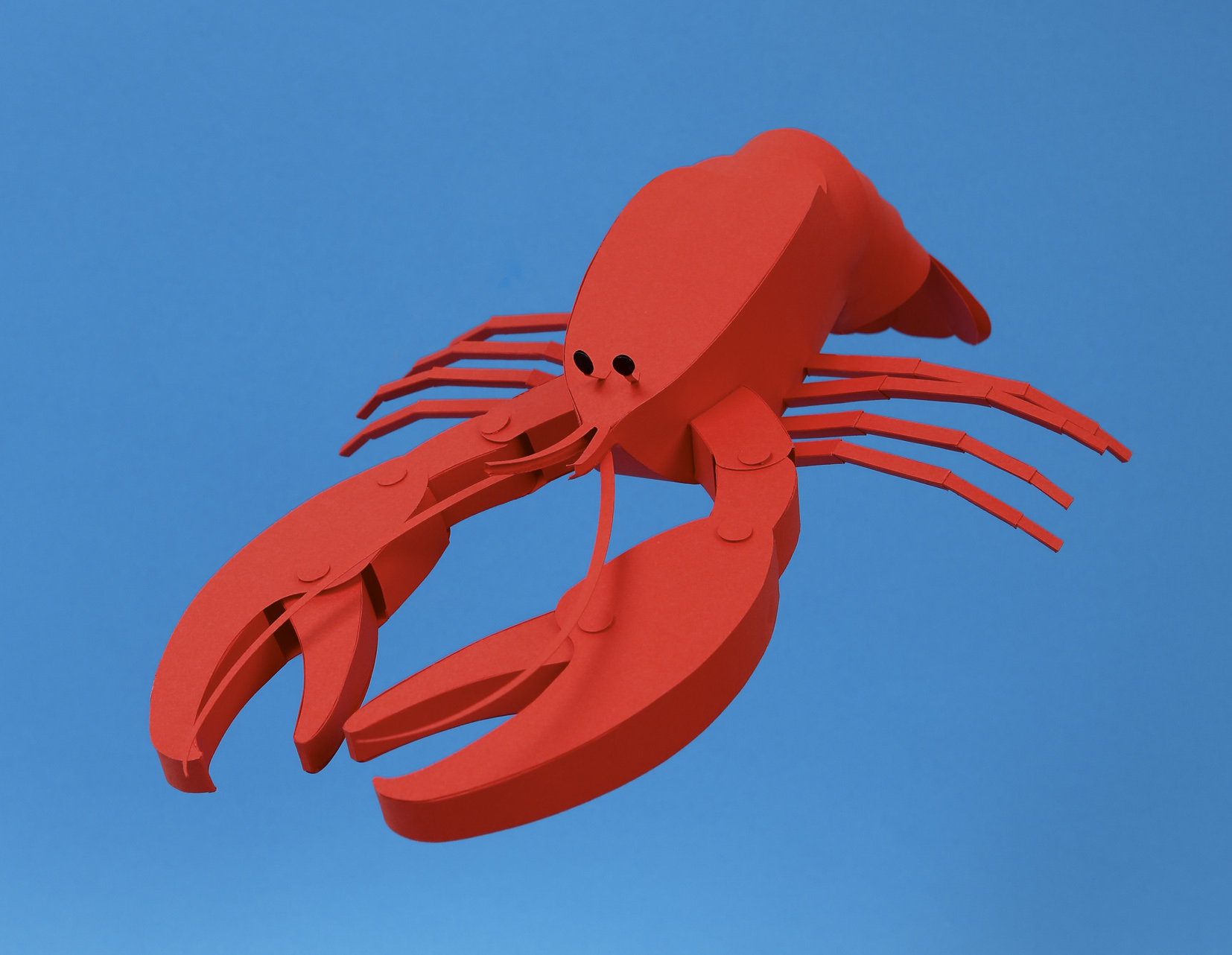 Lobstar / Ted Baker