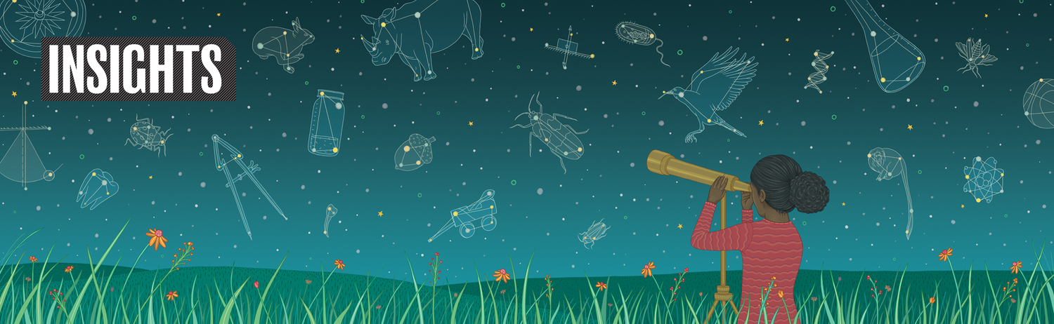Illustration for Science Magazine's Children's Book series. - Telescope, Explorer, Exploring, Sky, Night, Stars, Star, Constellation, Astronomy, Education, Learning, Science.