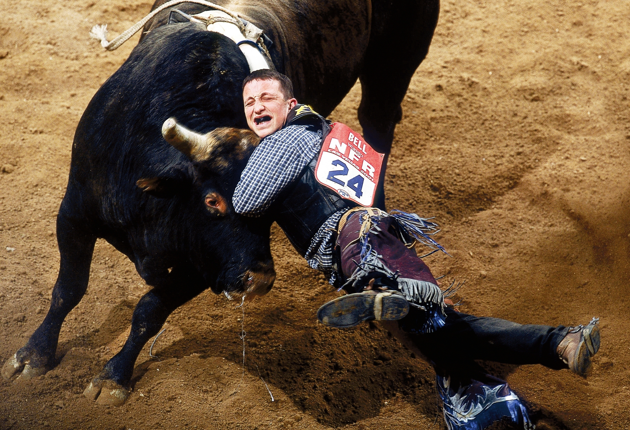 Action shot of a bull rider getting bucked off at the National Finals Rodeo in Las Vegas. 