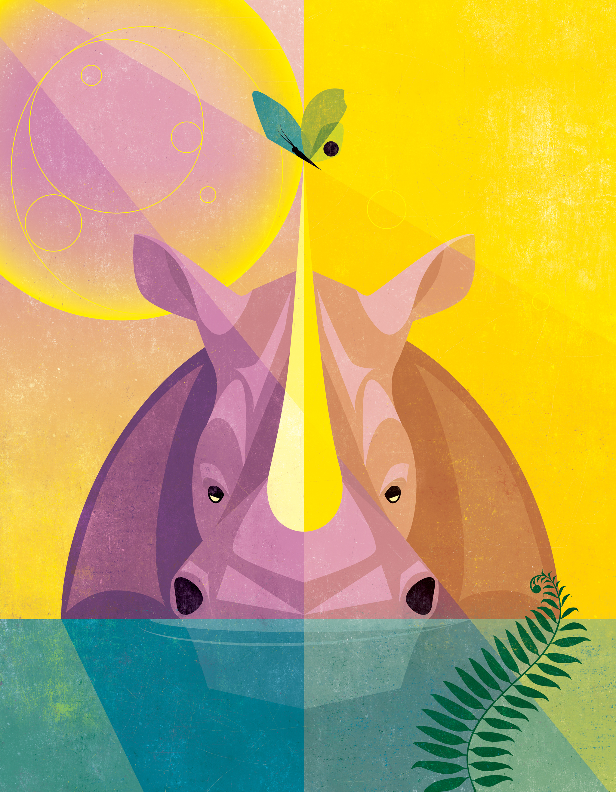 Rhino
Illustration by Traci Daberko