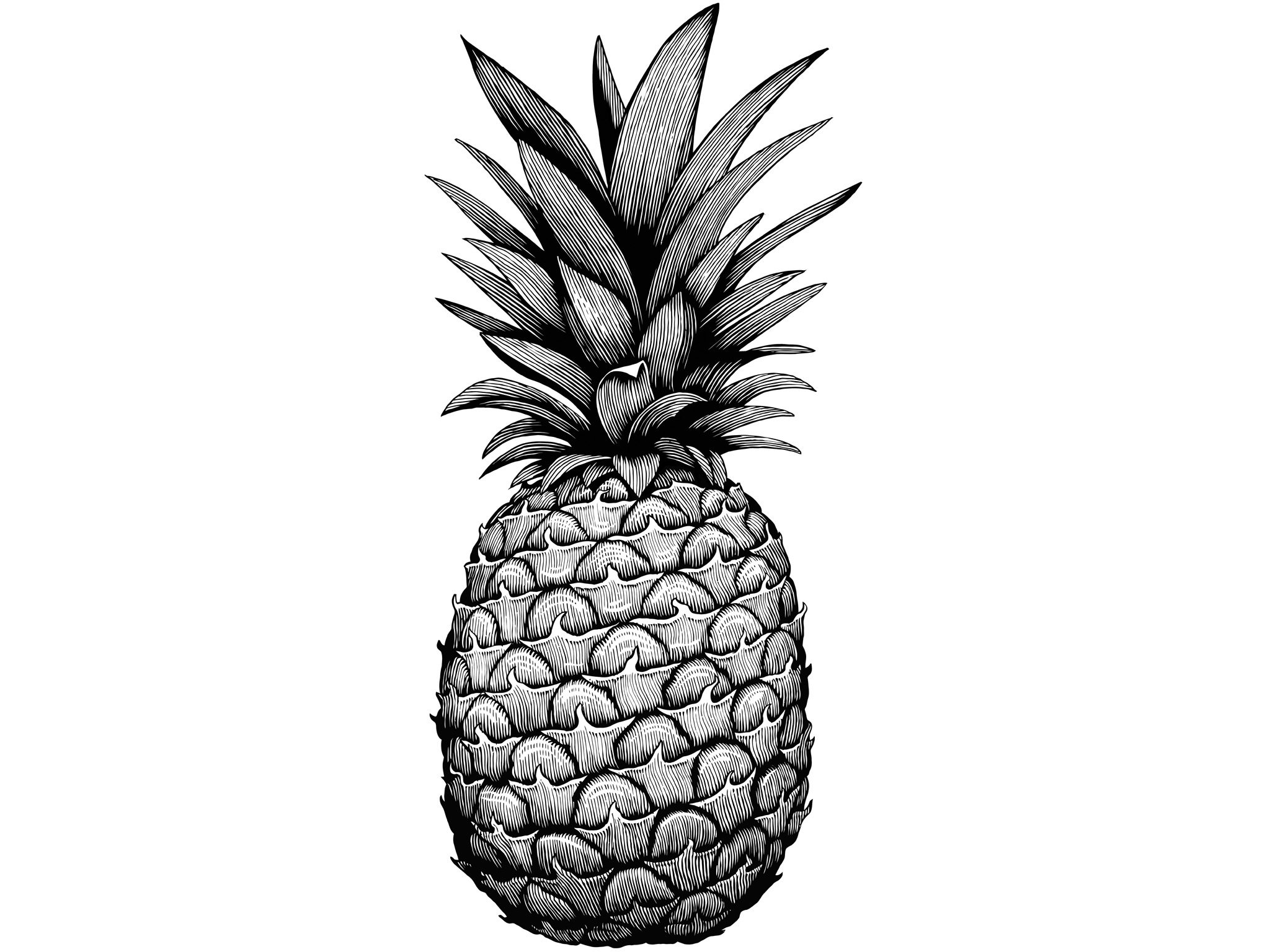 Ink Pineapple Drawing