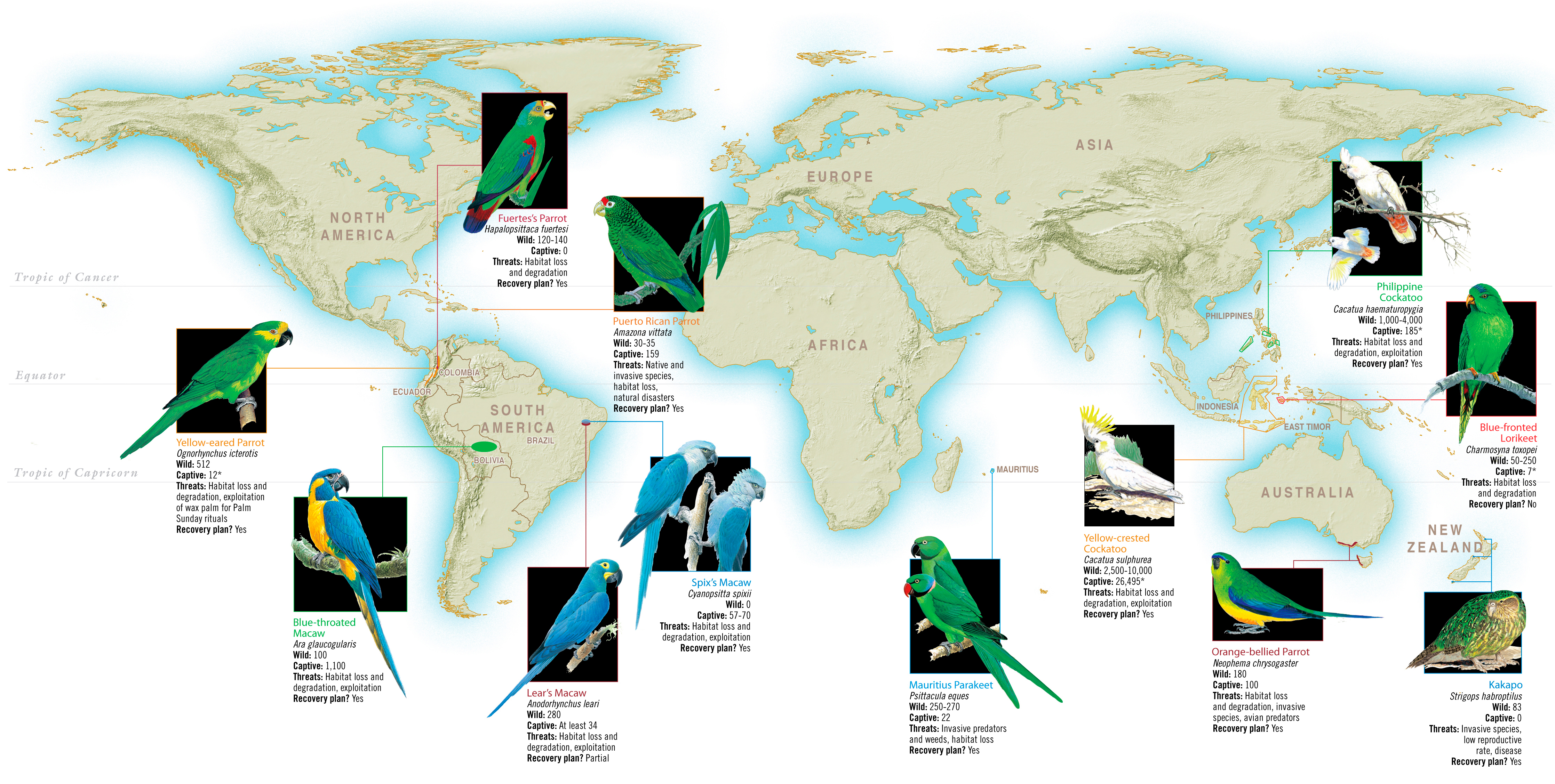 This map was created digitally with reference and bird renderings supplied by the author. I created the design, map, color, and call out style.