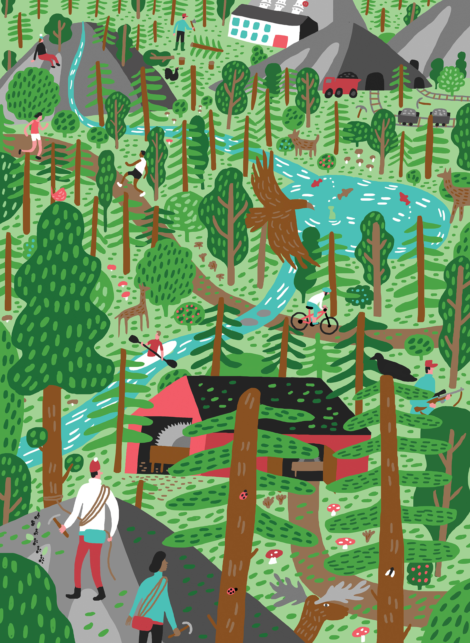 Illustration highlighting the many things that goes on in our forests.