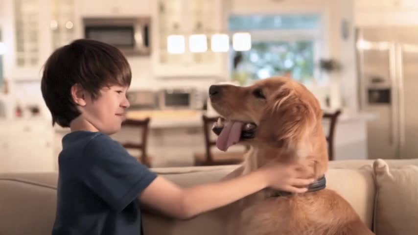 motion clips of pets, family, friends at home, in restaurants, family golfing, hiking, outdoors, on golf course, in yard, scientists in lab, industrial. natural lighting and mix of equipment - sticks, movi, jib, dolly, slider
