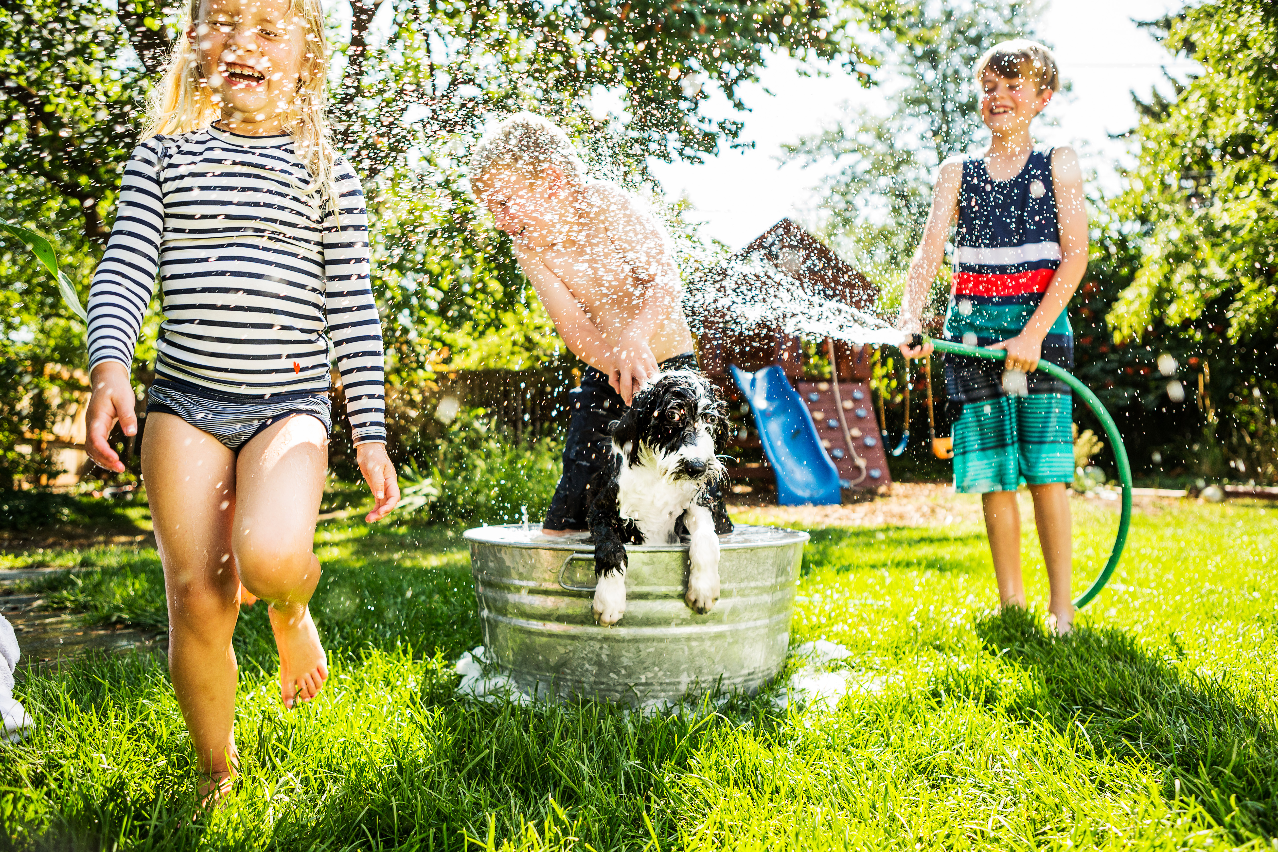 Children washing dog