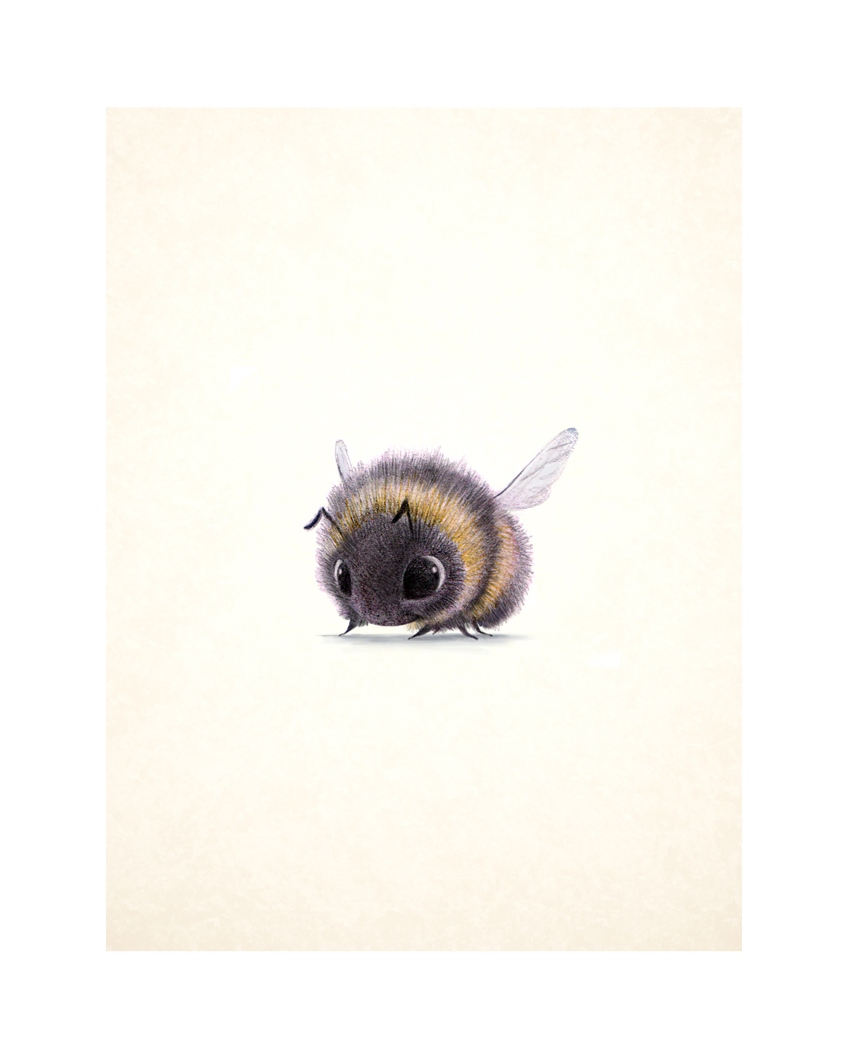 Image 746863