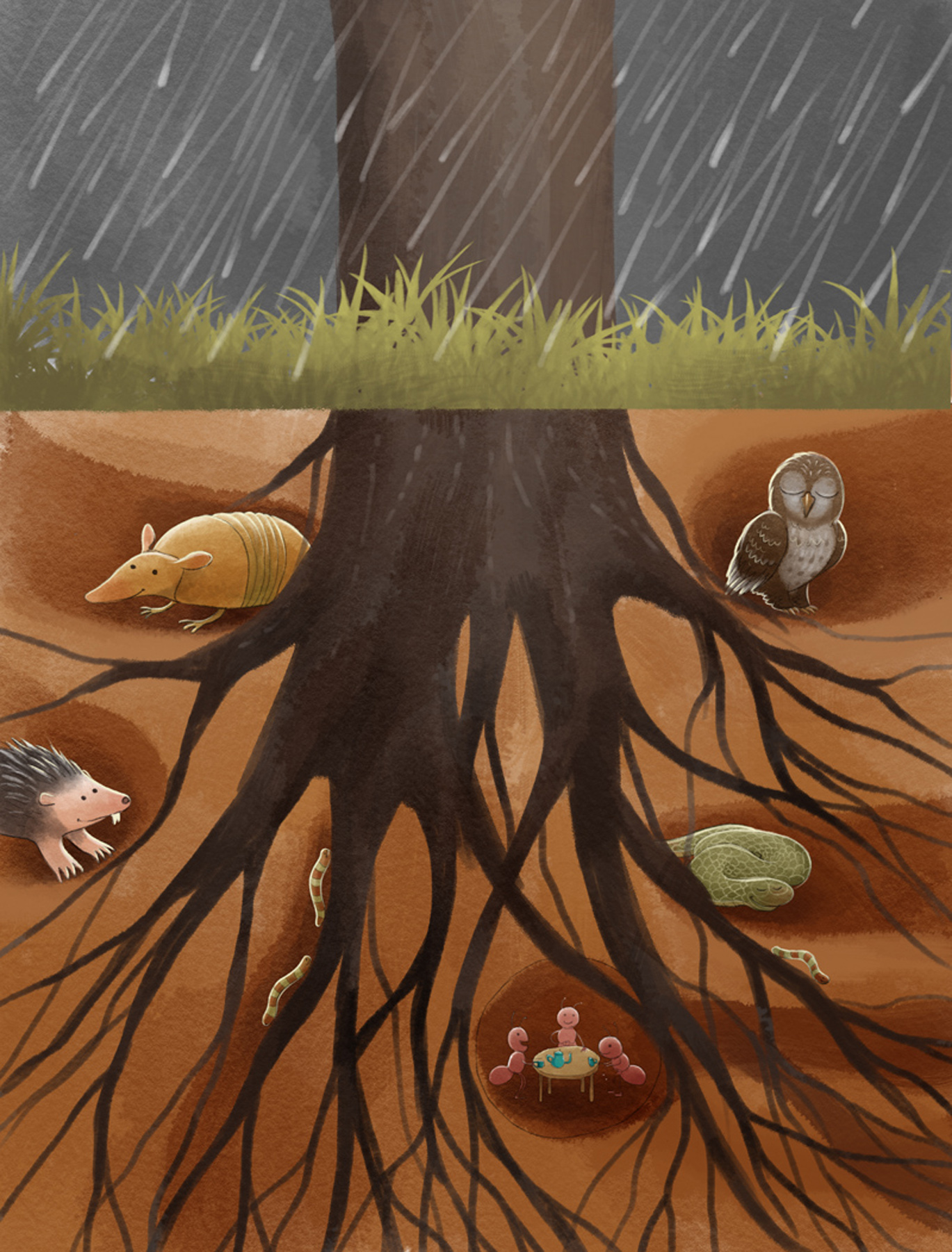 Roots