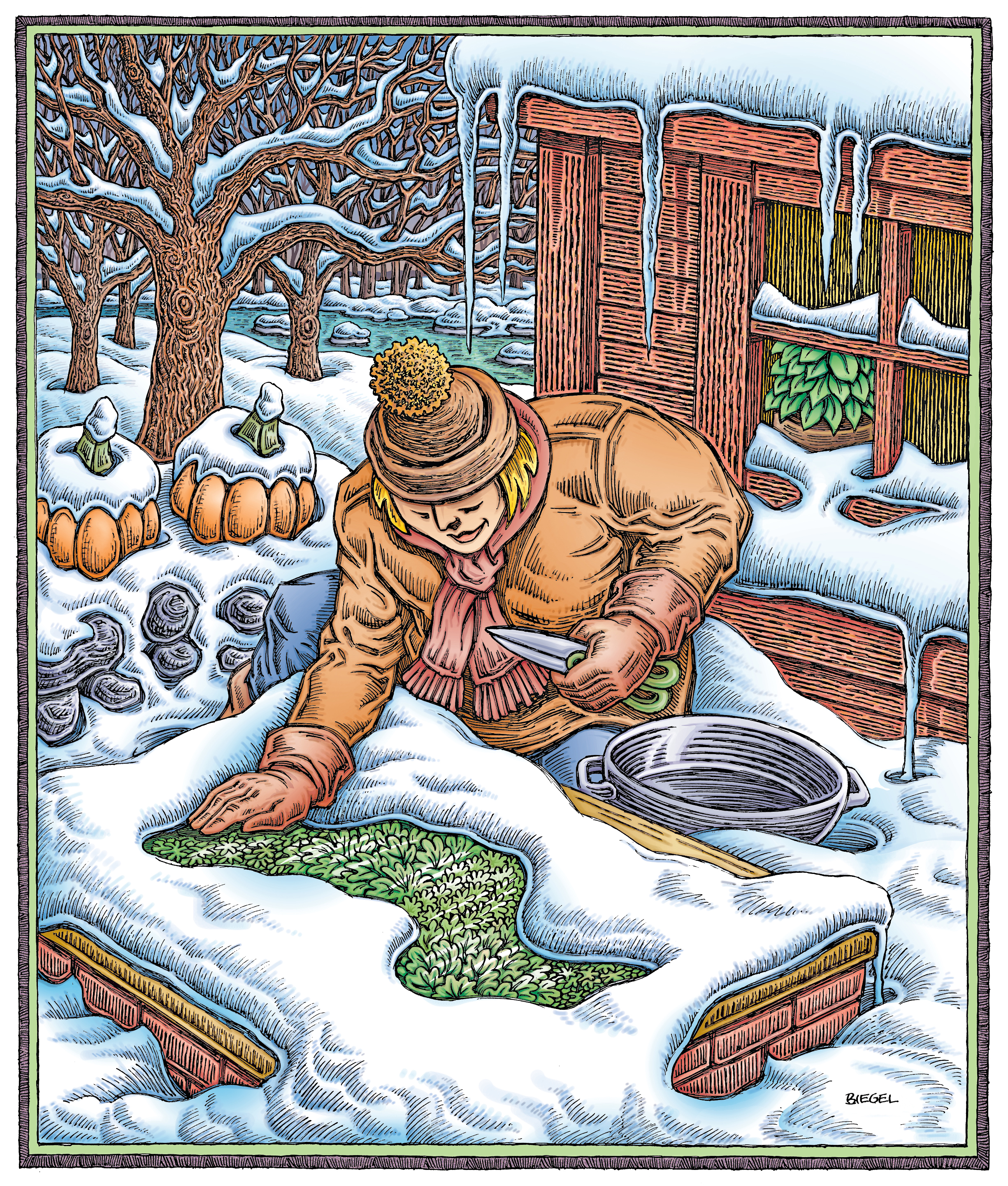 Cover Illustration for Green prints quarterly and part of the VermontGreetingCards.com catalog