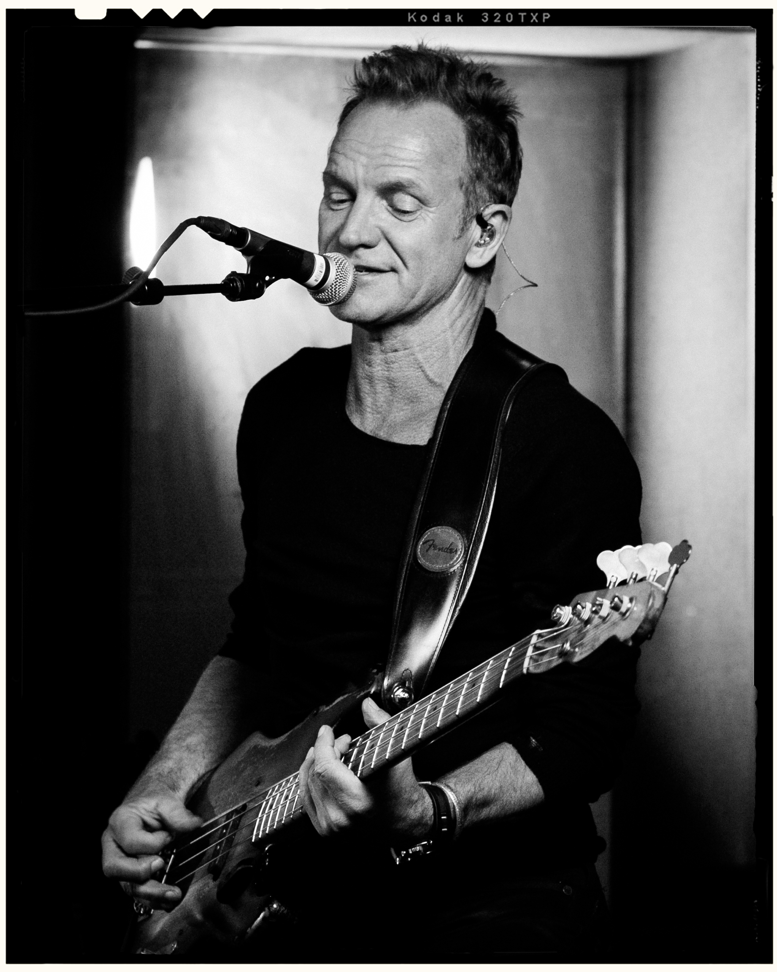 Sting