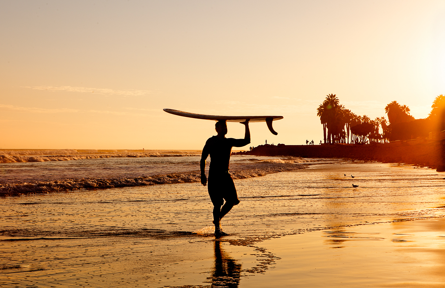 Surfer walking the beach at sunset.