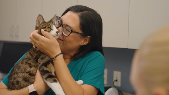 A brand library for Thrive Petcare, showcasing real vet techs, veterinarians and of course, pets. <br />
<br />
Mari Amor is a motion director who creates expansive asset collections for broadcast and social. She loves the tender and true and believes everyone is worthy of being seen.<br />
<br />
Many thanks to Erik Gatling on camera, Matthew Slimmer in production and Peter Klemek on lights.