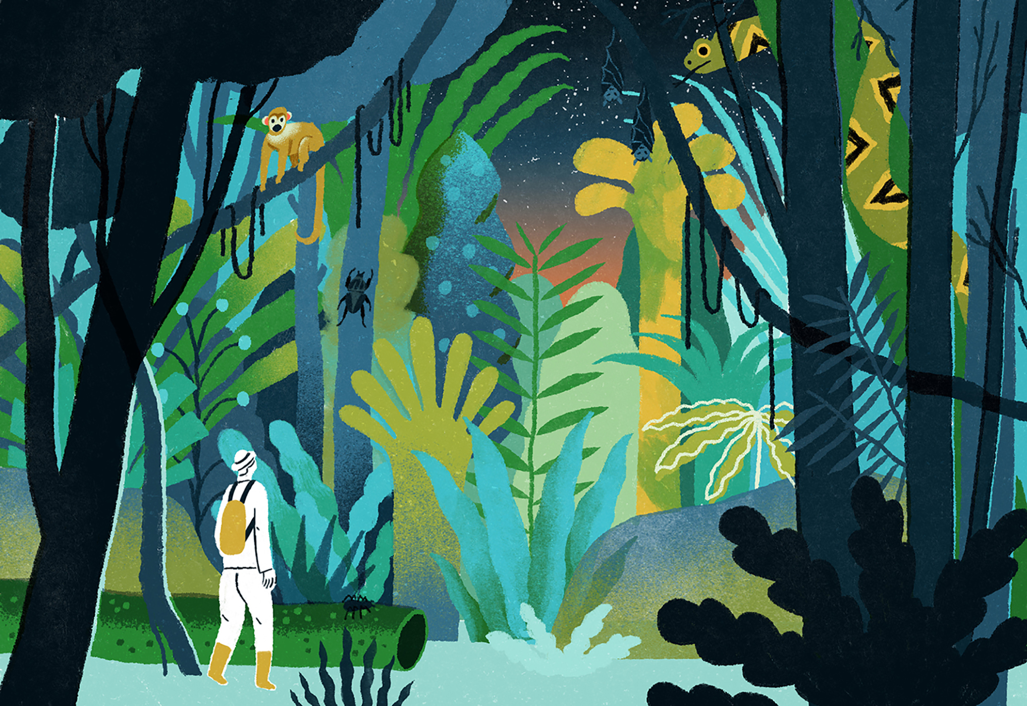Editorial, graphic, nature illustration for WSJ
